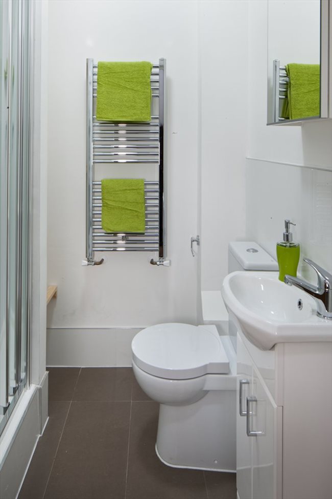 Room to rent in Finsbury Park - SHORT-TERM LETS FOR STUDENTS/PROFFRESIONALS/VISITS - Image 3