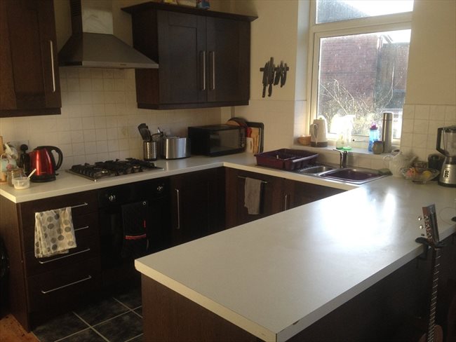 Room to rent in Benwell - 3 Bedroom Semi detached house on quiet U Street - Image 2