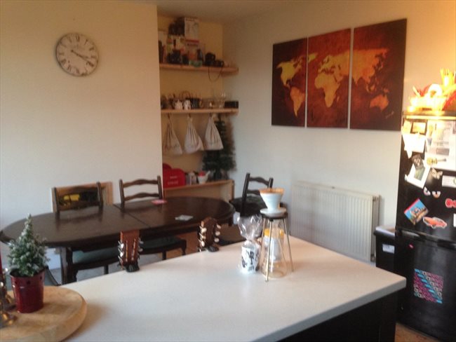 Room to rent in Benwell - 3 Bedroom Semi detached house on quiet U Street - Image 5