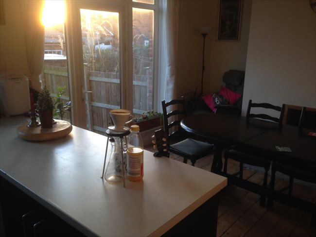 Room to rent in Benwell - 3 Bedroom Semi detached house on quiet U Street - Image 6