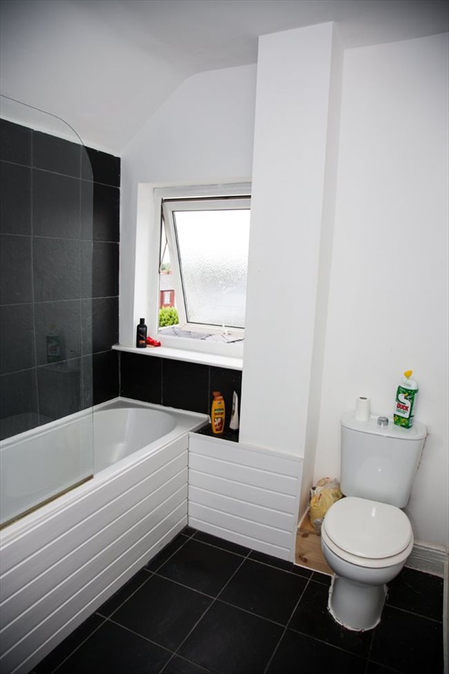 Room to rent in South Shields - Rooms to Rent in South Shields! £60-90 a room per week! - Image 7