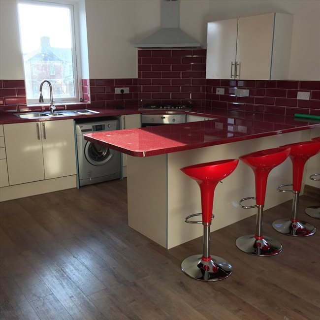Room to rent in Adamsdown - ROOM TO LET ,STUDENT ONLY - Image 1