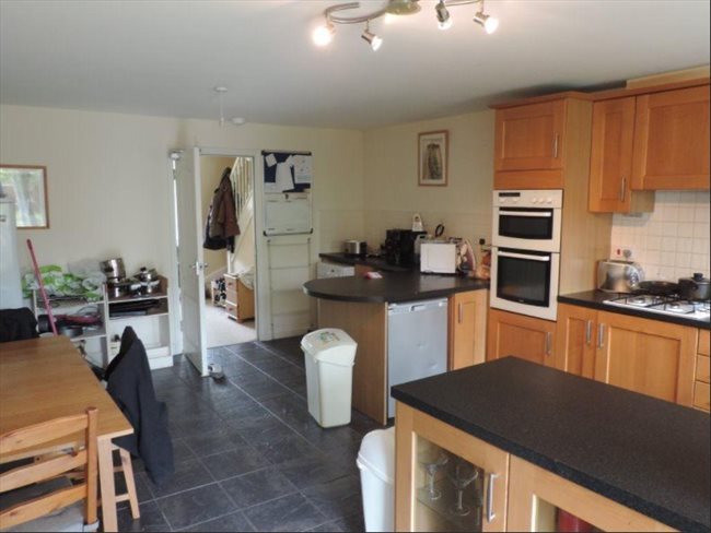 Room to rent in Peterborough - Huge Ensuite 25min walk to town - Image 3