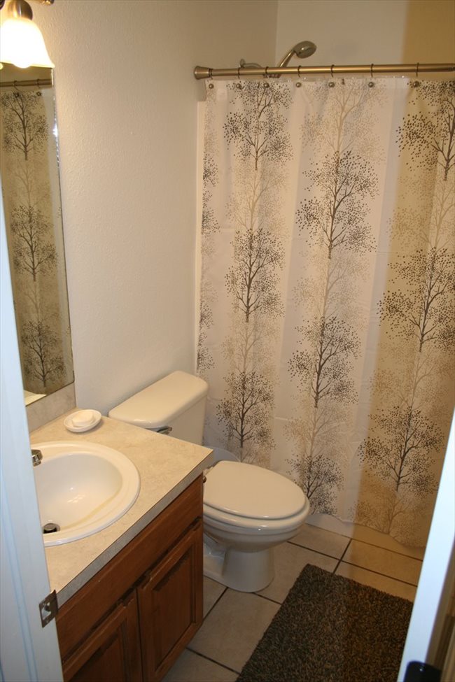 Room for rent in Broken Arrow - Roommate Needed - Image 3