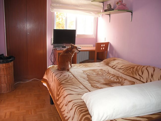 Piso Compartido en Villa De Vallecas - Hermosa Casita en Rivas | EasyPiso - Image 4