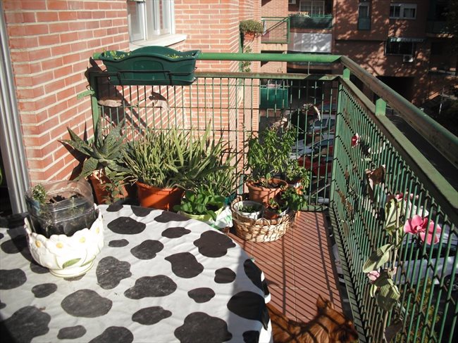 Piso Compartido en Villa De Vallecas - Hermosa Casita en Rivas | EasyPiso - Image 5