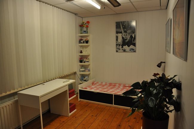 Kamers te huur in Rotterdam - Kamer vrij! one room left, | EasyKamer - Image 1