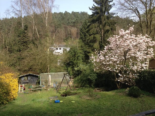 Colocation à Court-Saint-Étienne - Charmante maison à 12 min de Louvain-la-Neuve | Appartager - Image 3