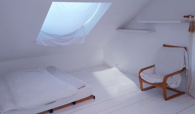 Colocation à Court-Saint-Étienne - Charmante maison à 12 min de Louvain-la-Neuve | Appartager - Image 4