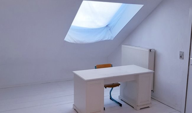 Colocation à Court-Saint-Étienne - Charmante maison à 12 min de Louvain-la-Neuve | Appartager - Image 5