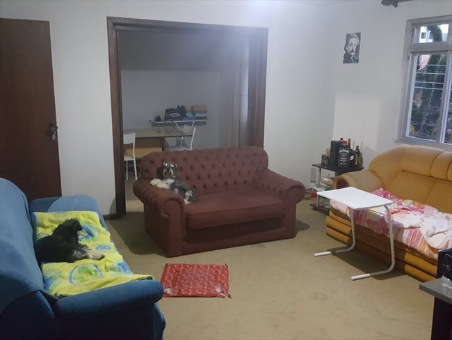 Aluguel kitnet e Quarto em Curitiba - Apartamento Agua Verde - Perto de Tudo | EasyQuarto - Image 3