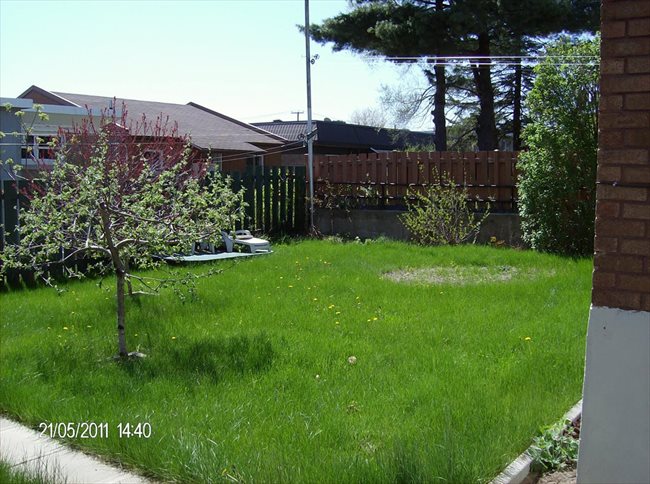 Room for rent in Canada - Colocation ou chambre pour étudiant(e) de l'UQTR - Image 2