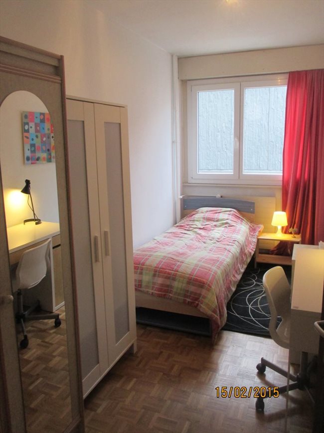 Colocation à Genève - à louer chambre dans un grand appartement. | EasyWG - Image 1