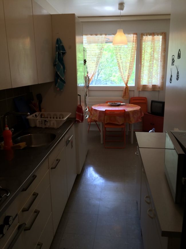 Colocation à Genève - à louer chambre dans un grand appartement. | EasyWG - Image 5