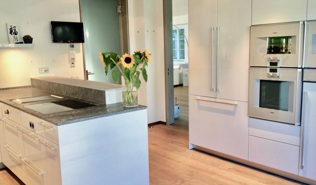 Colocation à Zürich - Stay At The Swiss Villa (next room available: Oct. 31) | EasyWG - Image 7