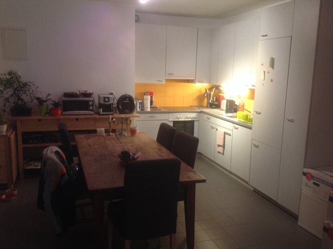 Colocation à Genève - Propose colocation sympa | EasyWG - Image 5