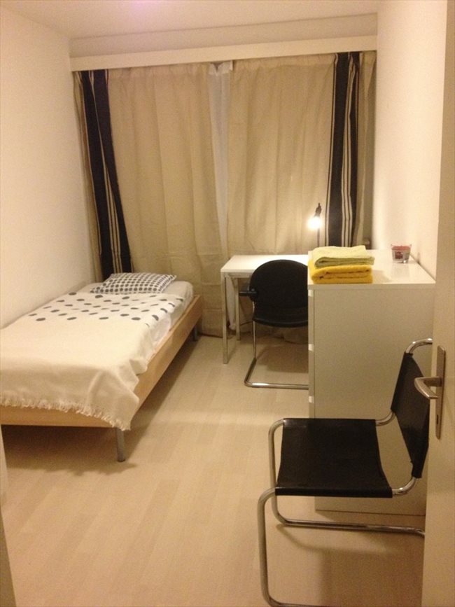 Colocation à Zürich - lovely room in Zürich Kreis7 | EasyWG - Image 1
