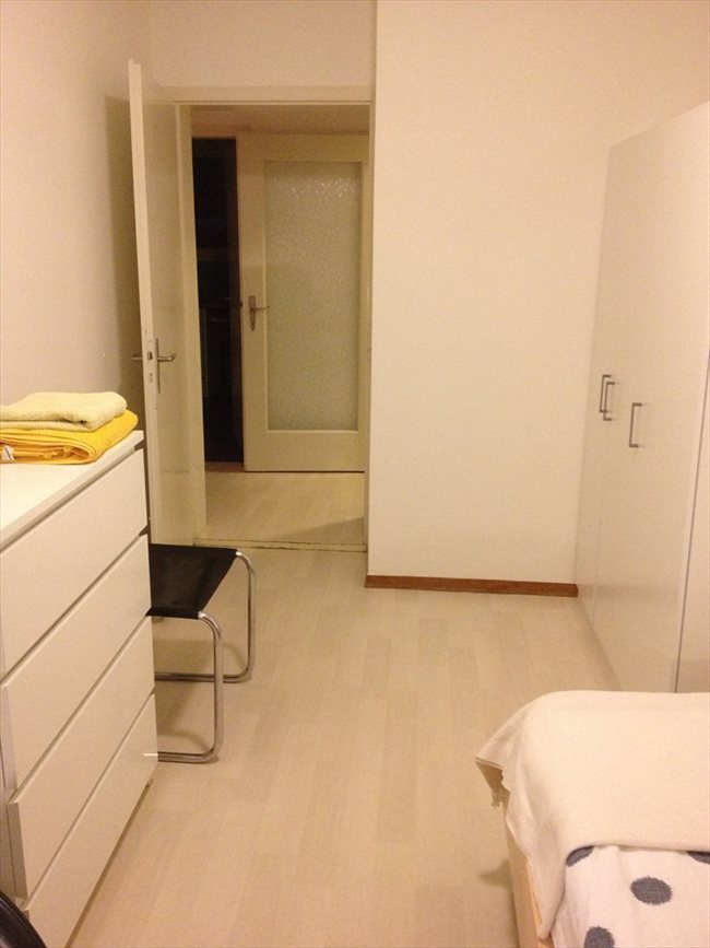Colocation à Zürich - lovely room in Zürich Kreis7 | EasyWG - Image 3