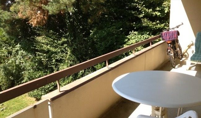 Colocation à Zürich - Your home from home in Zürich | EasyWG - Image 2