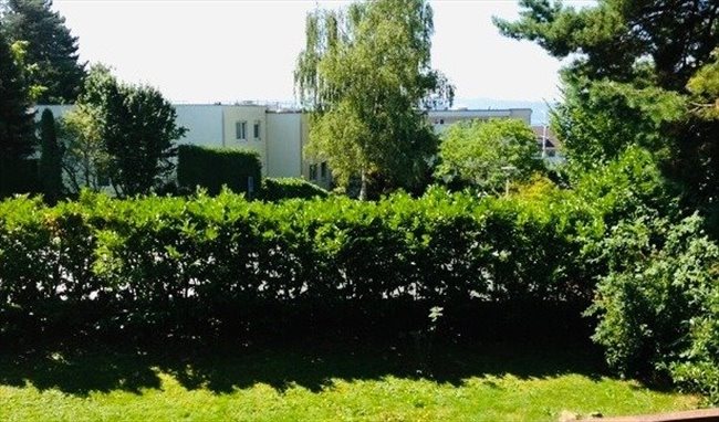 Colocation à Zürich - Your home from home in Zürich | EasyWG - Image 3