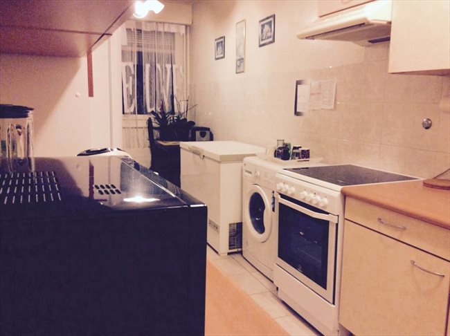 Colocation à Genève - Colocation dans un grand 6 pieces agreable et chill | EasyWG - Image 3