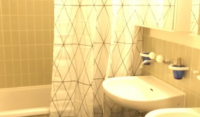 Colocation à Zürich - Your Doubleroom in Zürich | EasyWG - Image 3