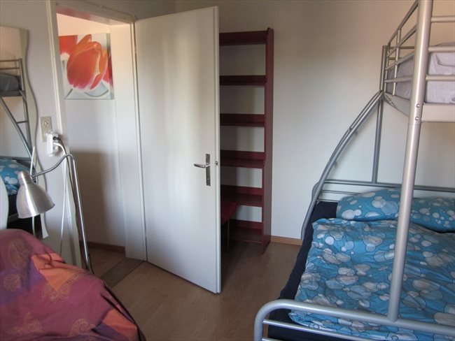 Colocation à Baden - Studio for rent in downtown 8953 Dietikon | EasyWG - Image 2