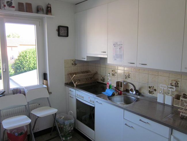 Colocation à Baden - Studio for rent in downtown 8953 Dietikon | EasyWG - Image 3
