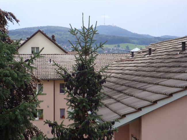 Colocation à Baden - Studio for rent in downtown 8953 Dietikon | EasyWG - Image 4