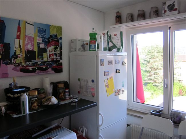 Colocation à Baden - Studio for rent in downtown 8953 Dietikon | EasyWG - Image 6