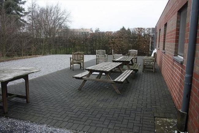 Koten te huur in Hasselt - Studentenkamers academiejaar 2017/2018 Diepenbeek/Hasselt | EasyKot - Image 4