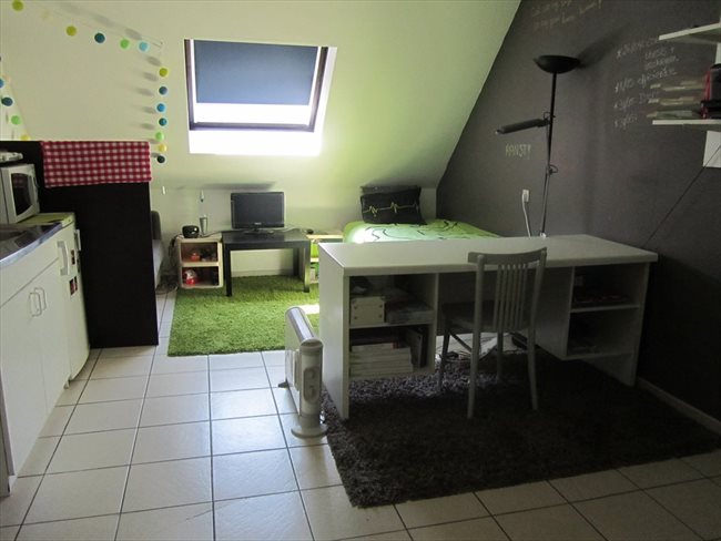 Koten te huur in Hasselt - Studentenhuis CUM LAUDE Diepenbeek | EasyKot - Image 1