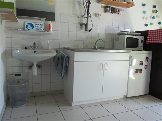 Koten te huur in Hasselt - Studentenhuis CUM LAUDE Diepenbeek | EasyKot - Image 2