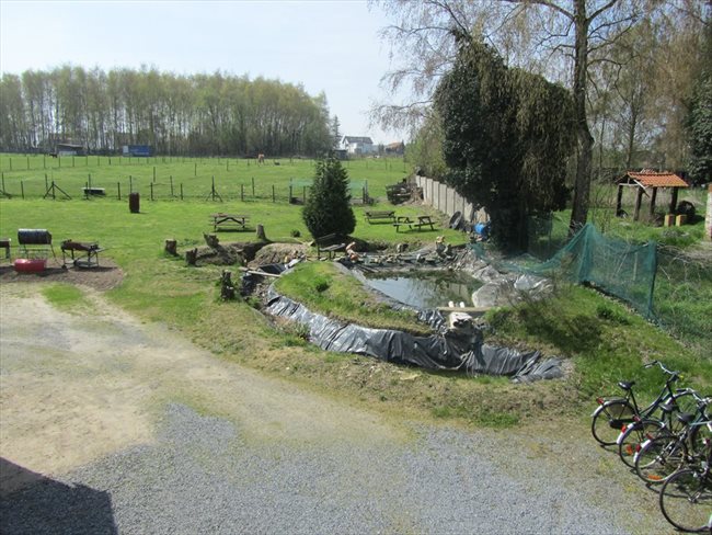 Koten te huur in Hasselt - Studentenhuis CUM LAUDE Diepenbeek | EasyKot - Image 8