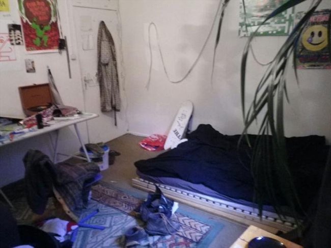 Kamers te huur in Enschede - Te huur kamer 16m2 in centrum Enschede €315,- All-in | EasyKamer - Image 2
