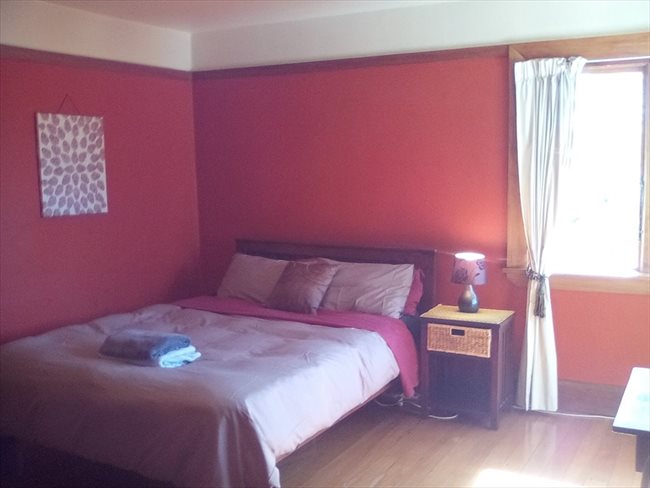 Room to rent in Christchurch - Neat room in big house - Image 1