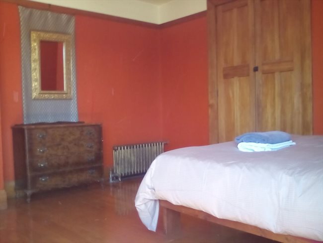 Room to rent in Christchurch - Neat room in big house - Image 2