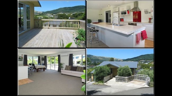 Room to rent in Wellington - Warm spacious bedroom in modern home - Image 1