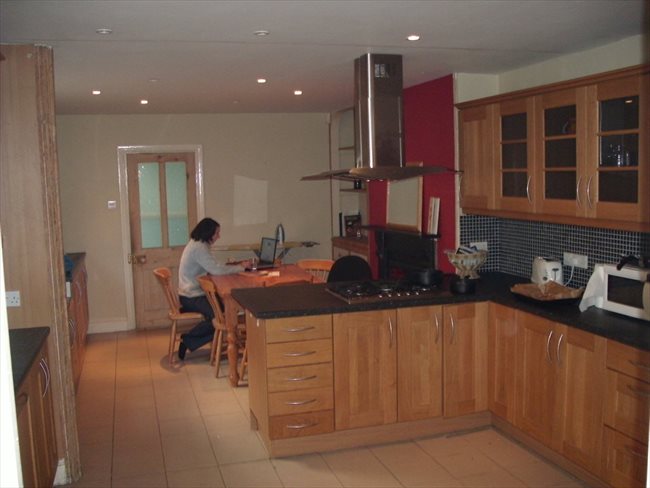Room to rent in Mannamead - Large double room in young professionals house. - Image 1