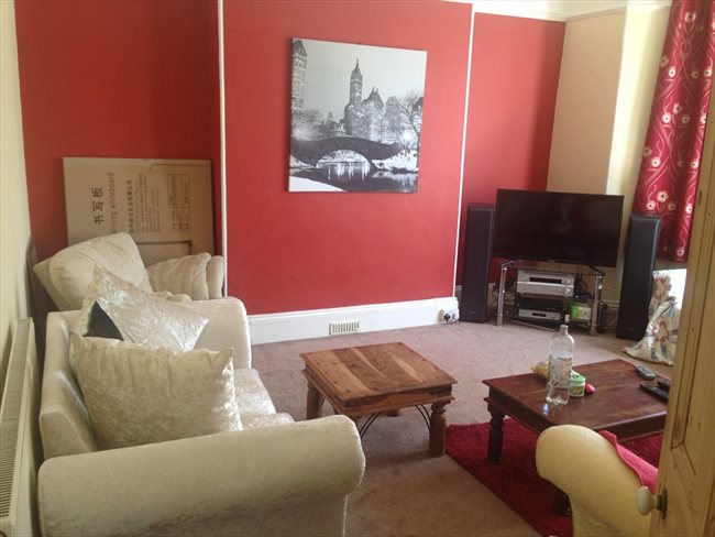 Room to rent in Mannamead - Large double room in young professionals house. - Image 3