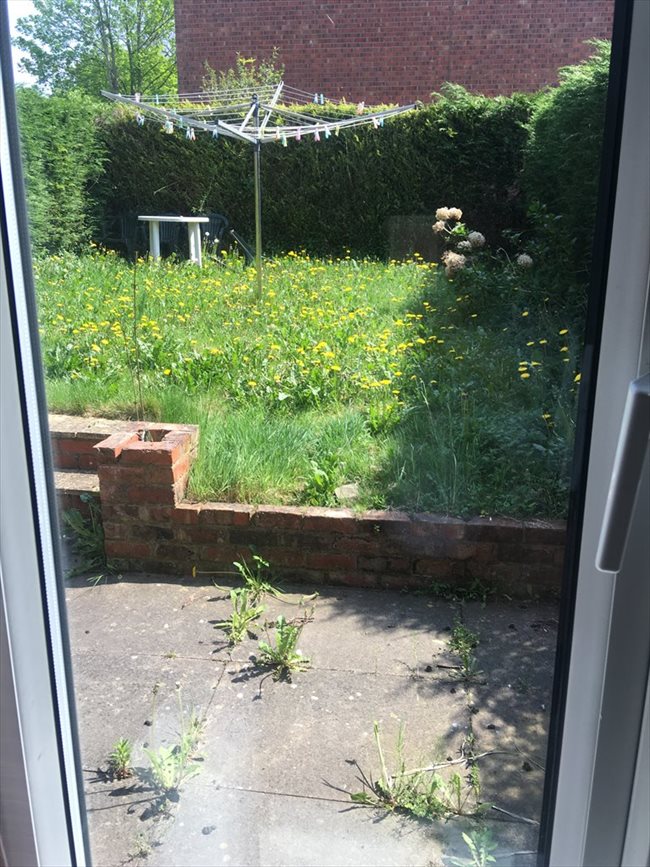 Room to rent in Macclesfield - quiet but friendly house looking for roomate - Image 4