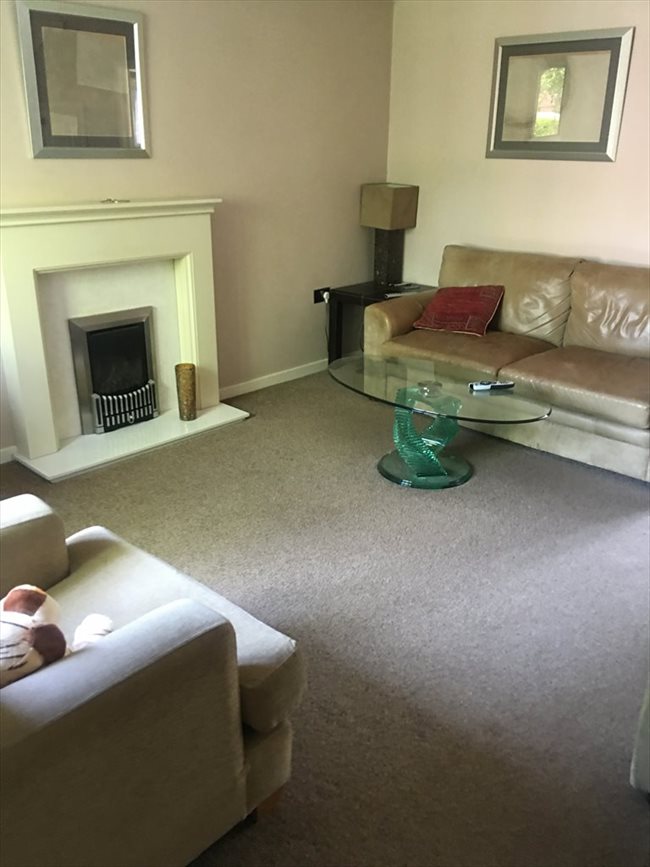 Room to rent in Macclesfield - quiet but friendly house looking for roomate - Image 5