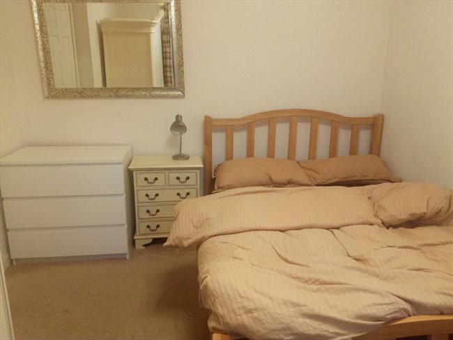 Room to rent in Macclesfield - quiet but friendly house looking for roomate - Image 6
