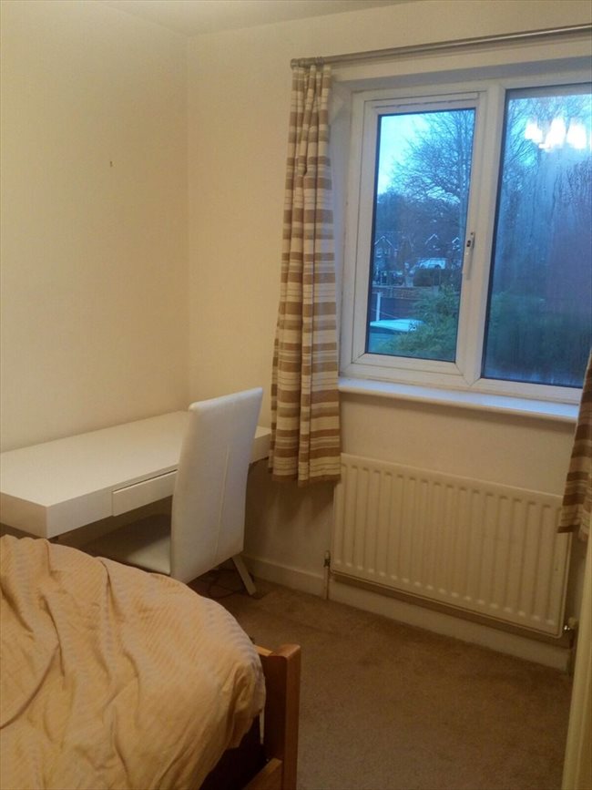 Room to rent in Macclesfield - quiet but friendly house looking for roomate - Image 8