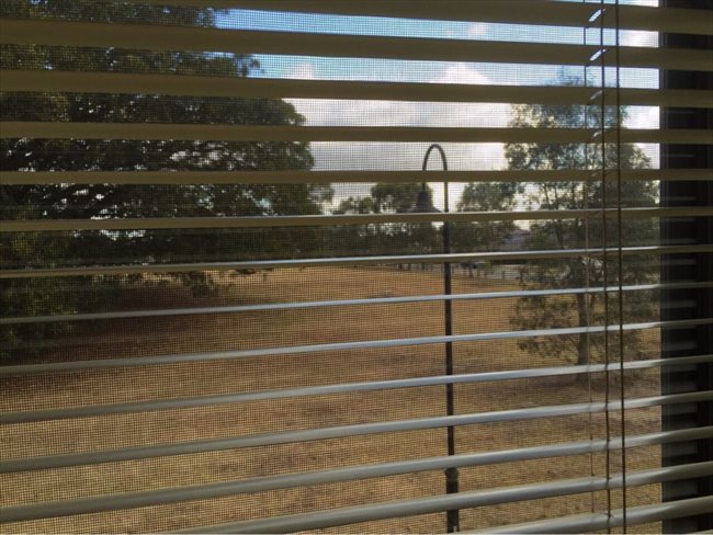 Room to rent in Figtree Walk, Lyndhurst - $200 includes gas water & electricity - Image 1