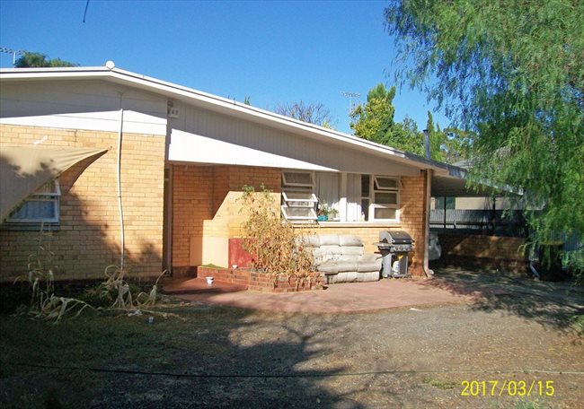 Room to rent in Donhead Street, Elizabeth - Comfortable Stable Budget Accomodation - Image 2