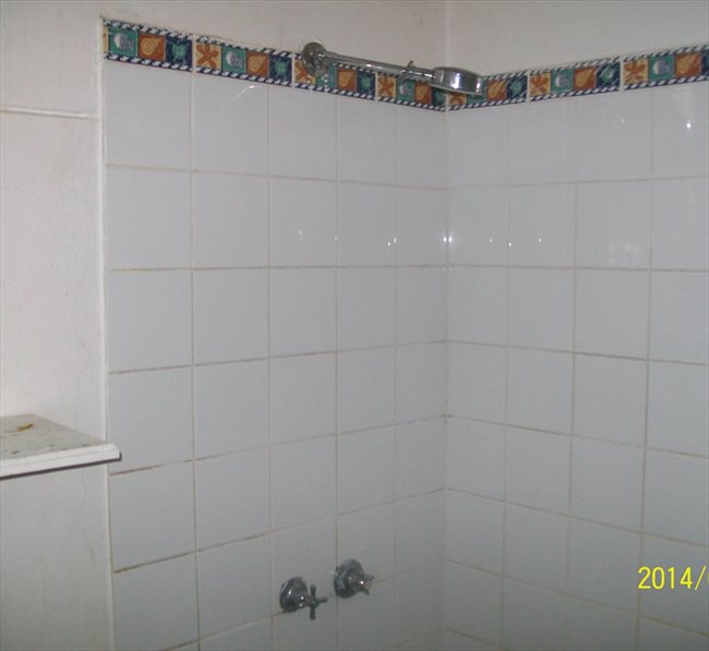 Room to rent in Donhead Street, Elizabeth - Comfortable Stable Budget Accomodation - Image 6