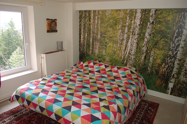 Colocation à Rue de Mons, Mons - CHAMBRES dans maison située dans un grand parc. | Appartager - Image 3