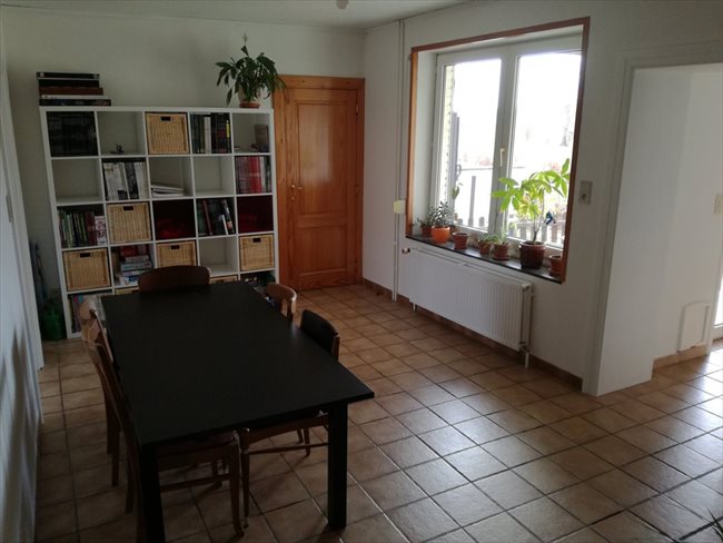 Colocation à Rue de la Campagnette, Walhain - Chambre à louer dans une maison à Walhain | Appartager - Image 6