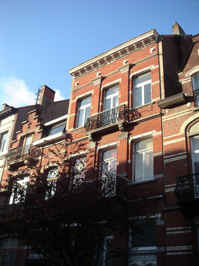Colocation à Rue des Confédérés, Bruxelles - Appartement meublé quartier des squares - métro | Appartager - Image 3